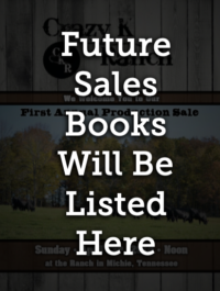 Future Sales Books Pic