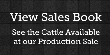 home feature sales book 2019