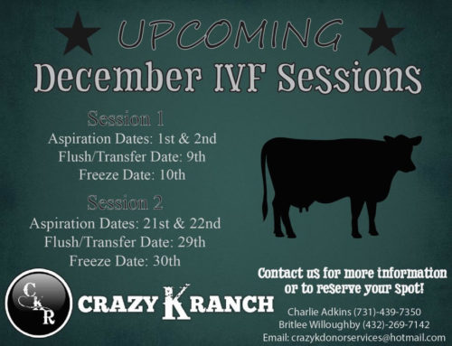 Upcoming December IVF Sessions